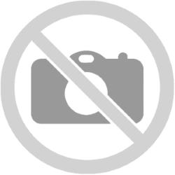 BRITISH PLATINUM 1 OZ GREAT BRITAIN PLATINUM BRITANNIA